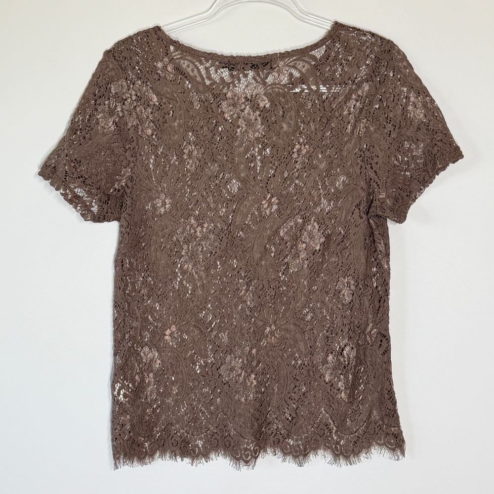 BKE Boutique Brown Lace Short Sleeve Sheer Top BTQM46071 Womens Large Boho Chic - Picture 9 of 9